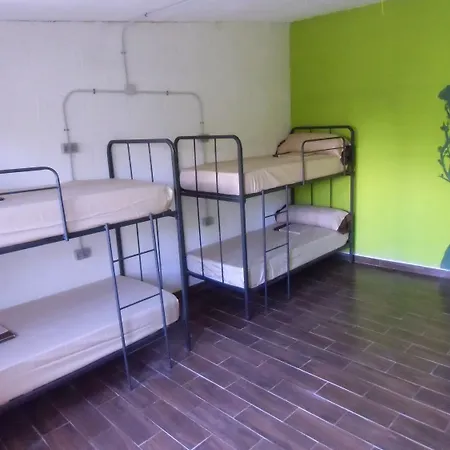 哈库纳玛塔塔旅舍 旅馆