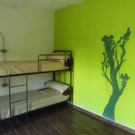 哈库纳玛塔塔旅舍 *