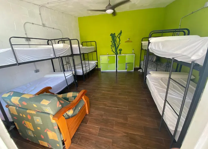 Vandrarhem Hakuna Matata *