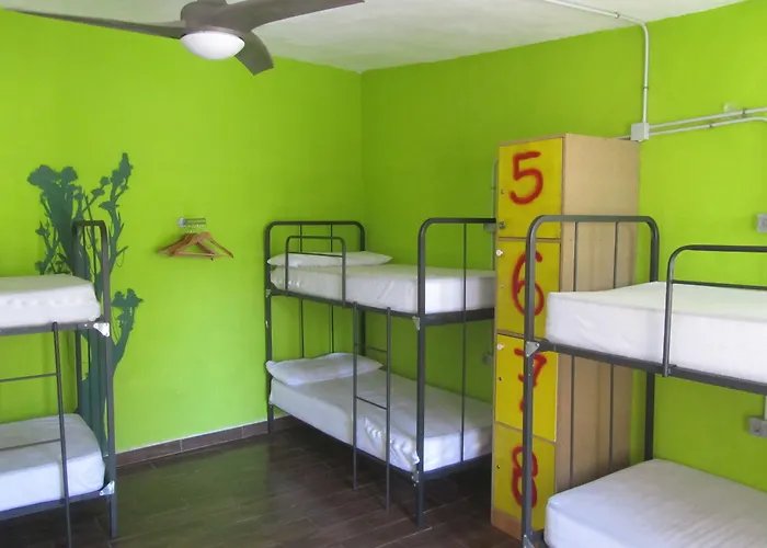 Vandrarhem Hakuna Matata El Campello