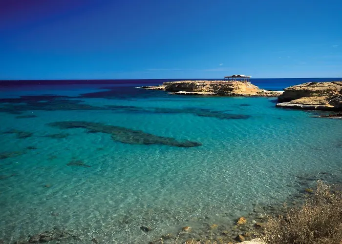 Hakuna Matata El Campello