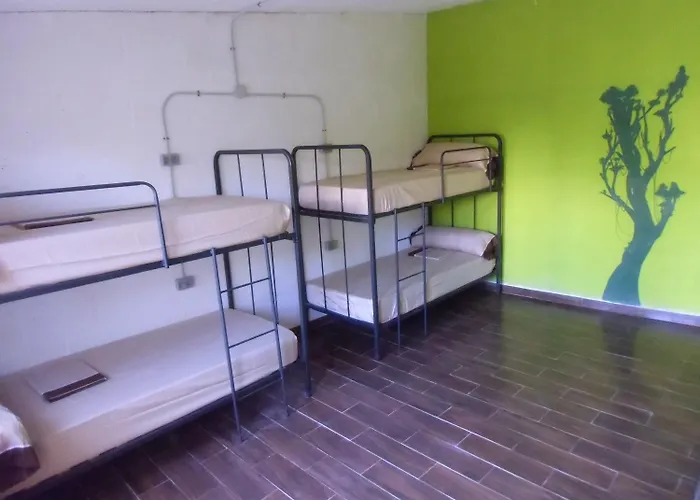 Hakuna Matata Hostal